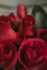 Rote Rosen: Ich liebe Dich